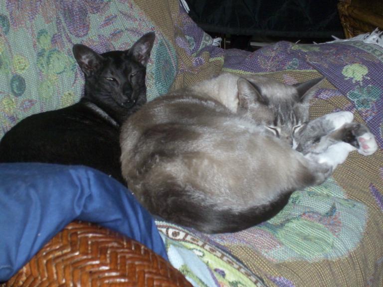 click for larger size