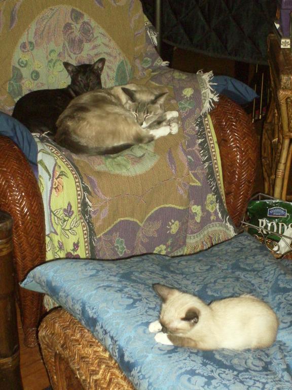 click for larger size