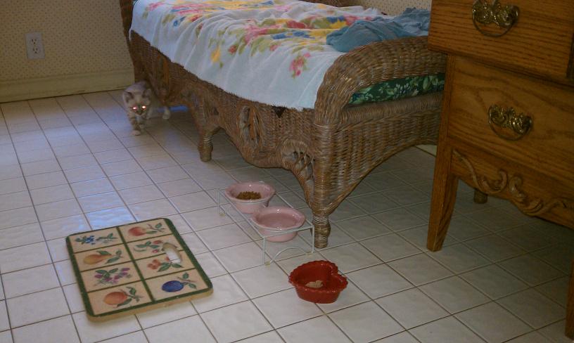 click for larger size