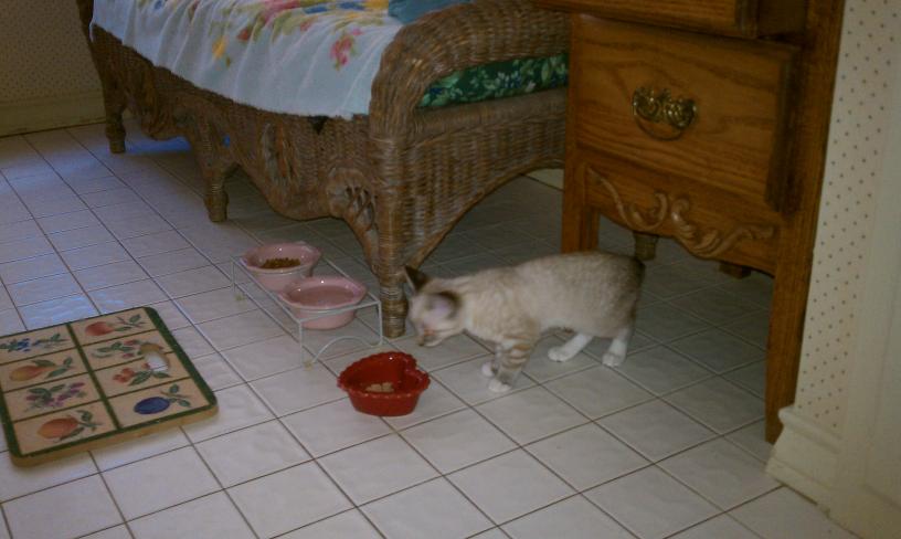 click for larger size