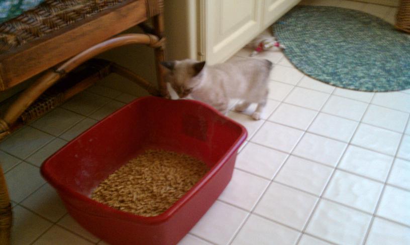 click for larger size