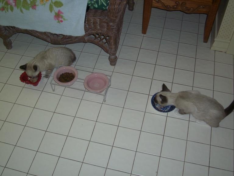 click for larger size