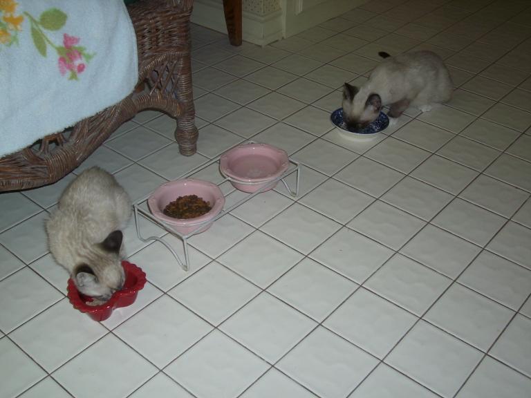 click for larger size