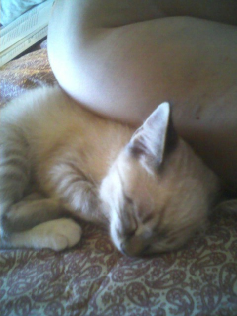 click for larger size