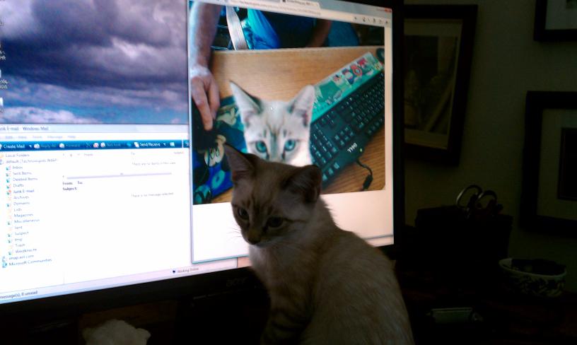 click for larger size