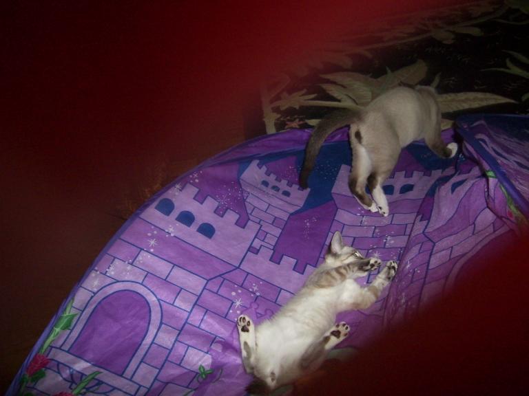 click for larger size