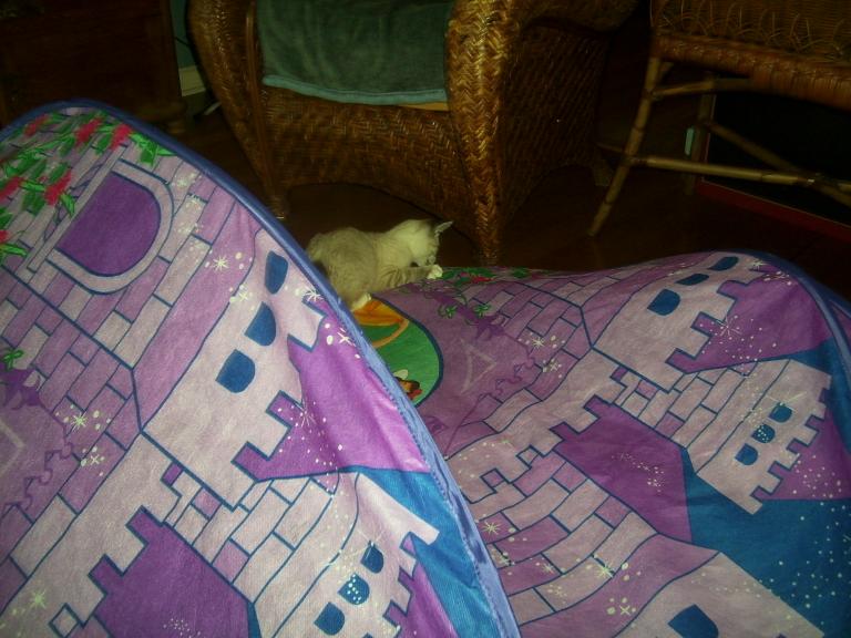 click for larger size