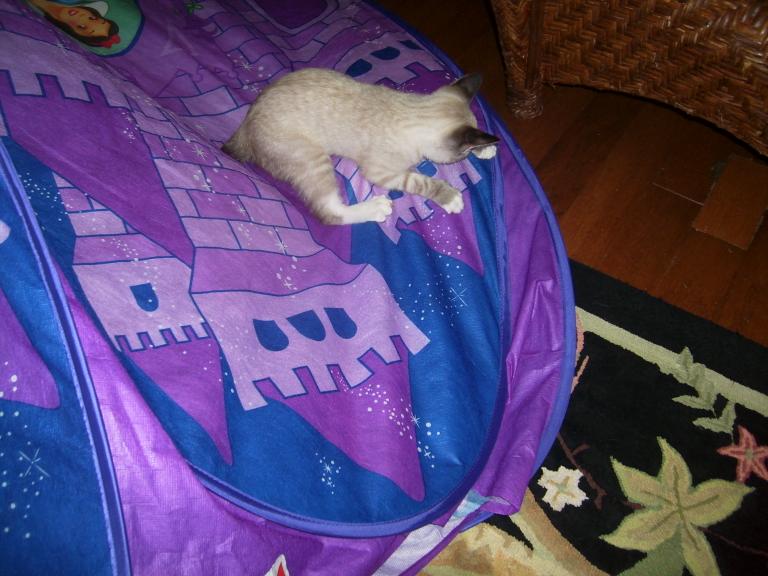 click for larger size