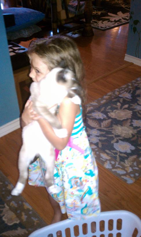 click for larger size