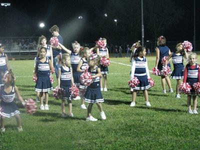 click for larger size