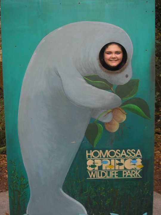 click for larger size