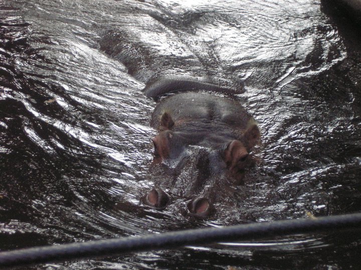 click for larger size