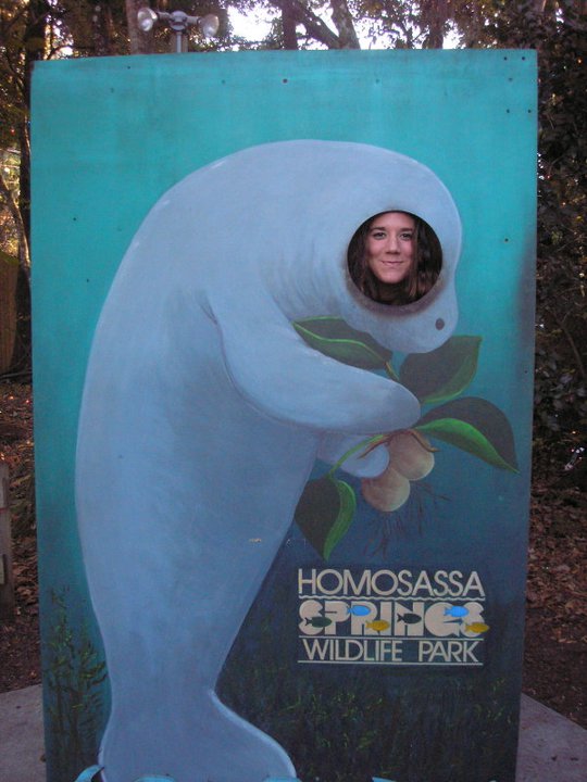 click for larger size