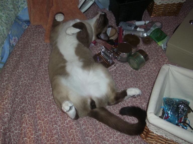 click for larger size