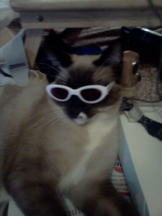 click for larger size