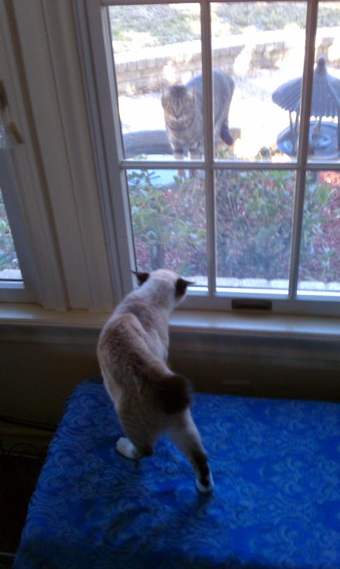 click for larger size