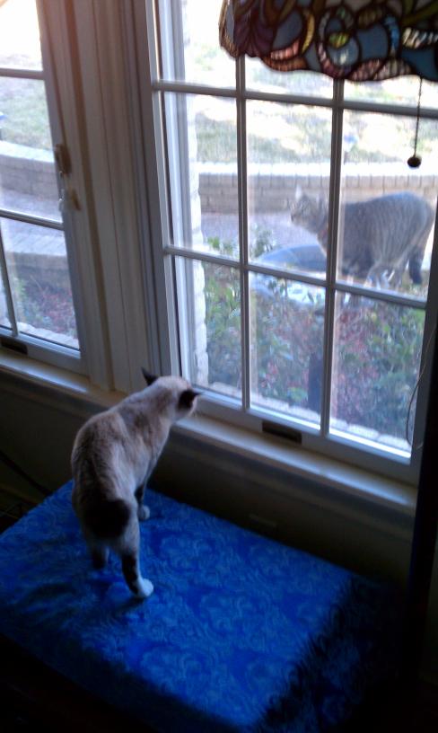 click for larger size