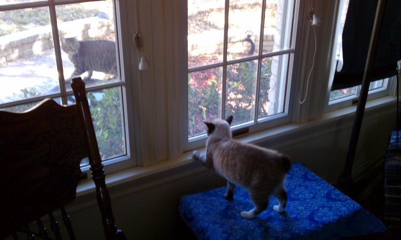 click for larger size