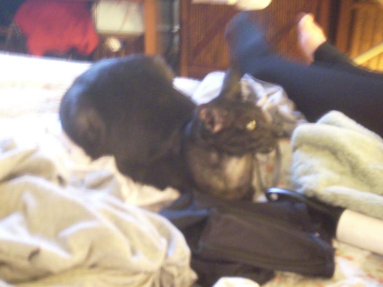 click for larger size