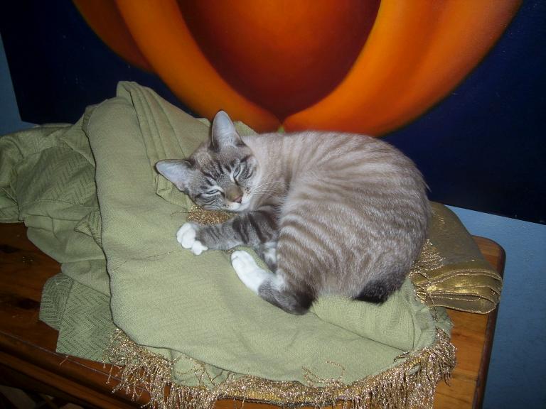 click for larger size