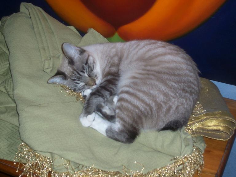 click for larger size