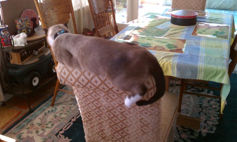 click for larger size