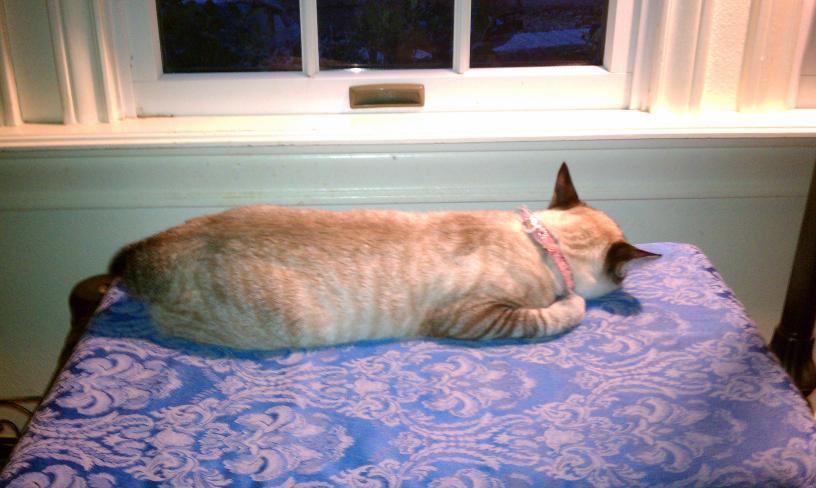 click for larger size