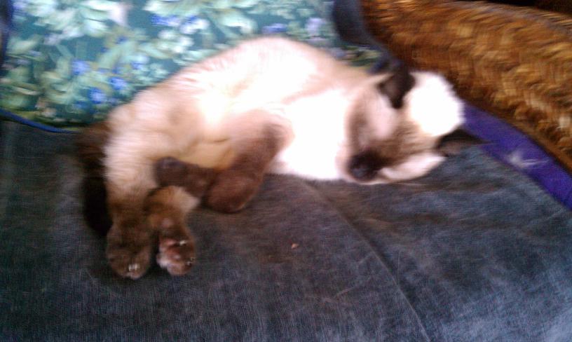 click for larger size