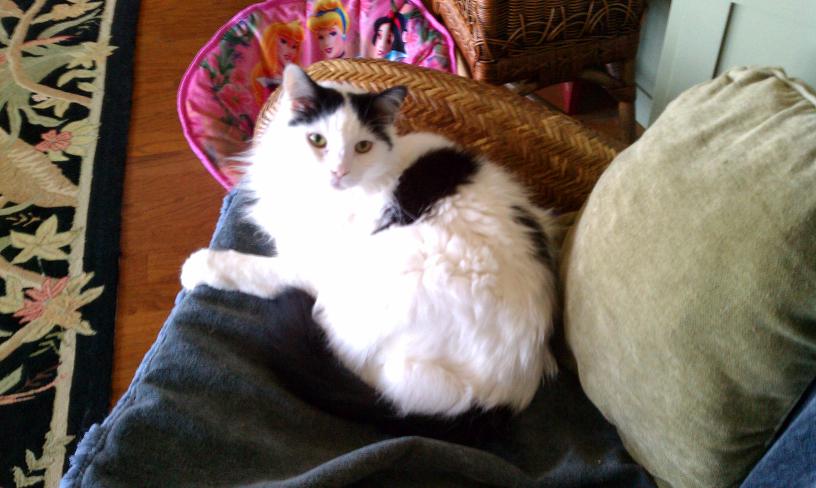 click for larger size