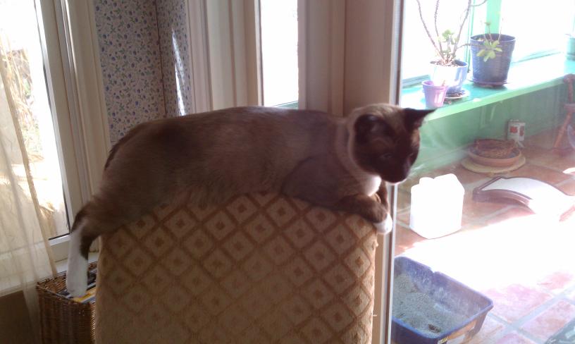 click for larger size