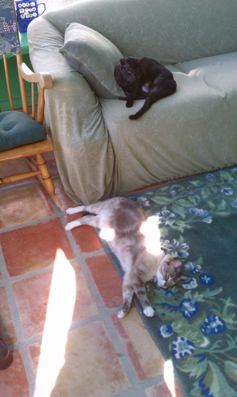 click for larger size