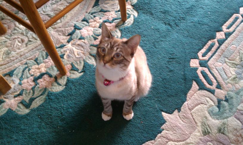 click for larger size