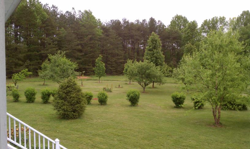 click for larger size