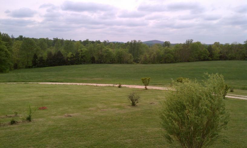 click for larger size