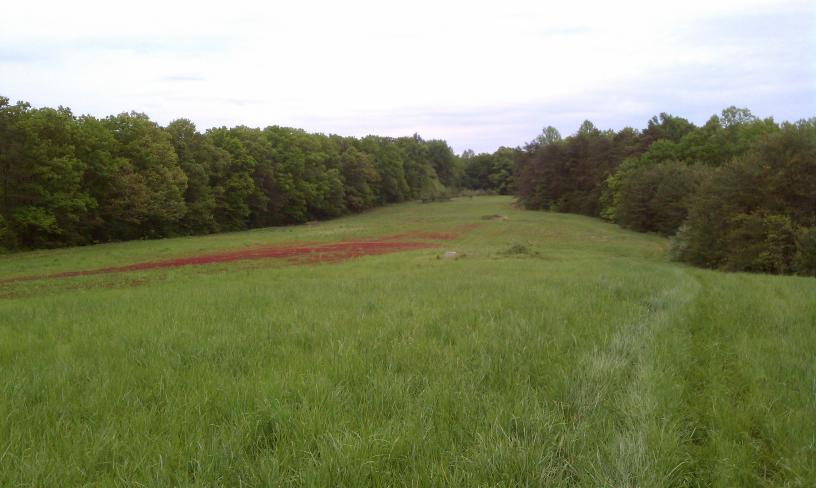 click for larger size