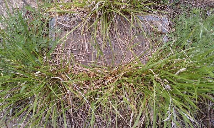 click for larger size