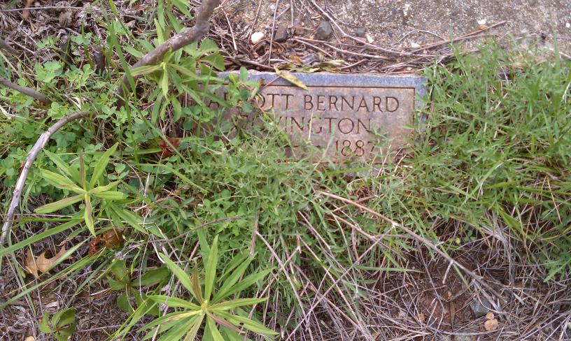 click for larger size