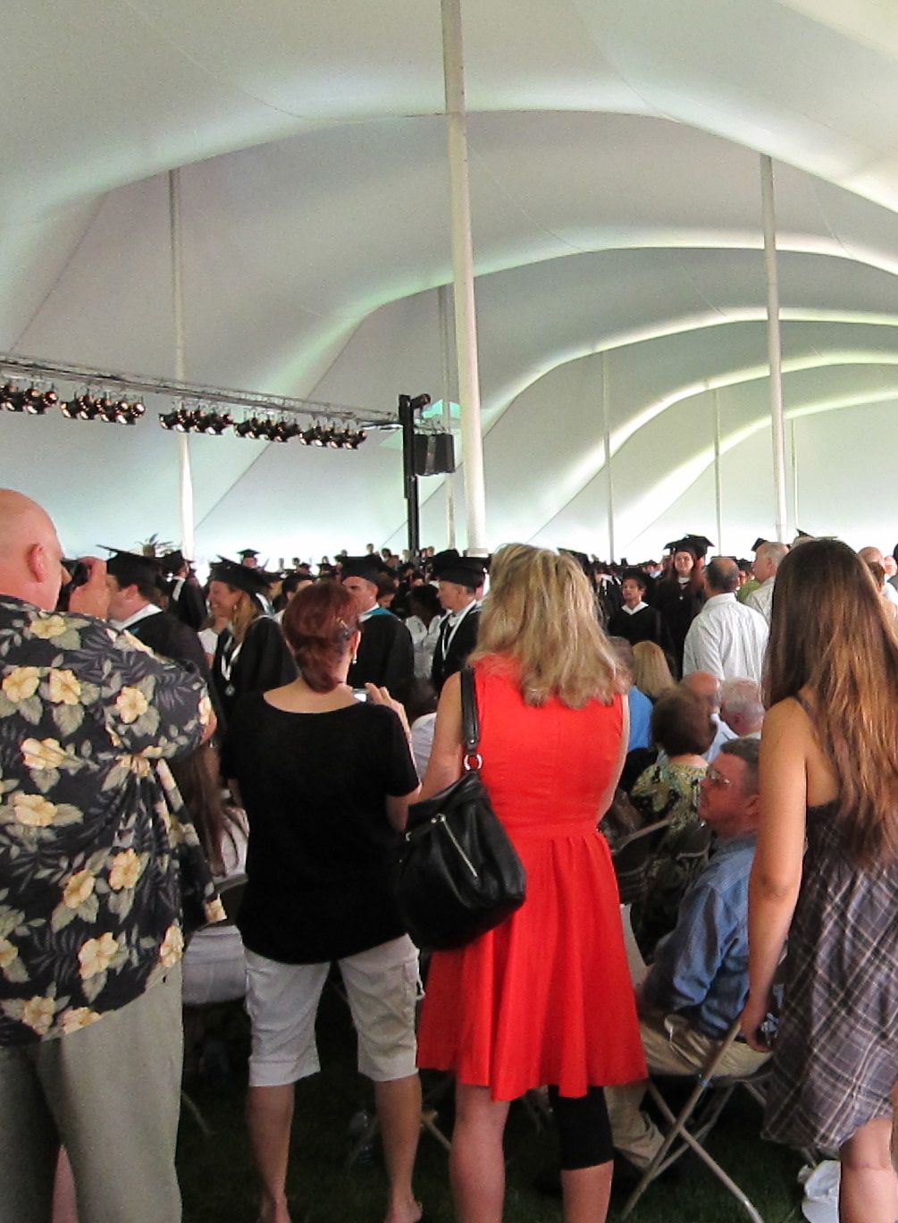 click for larger size