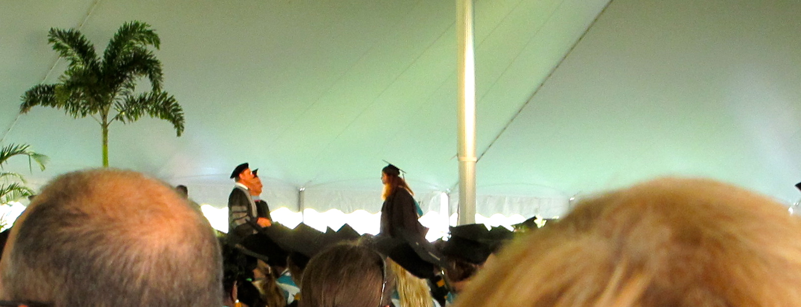 click for larger size