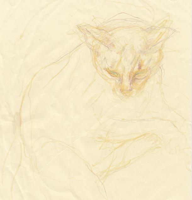 click for larger size