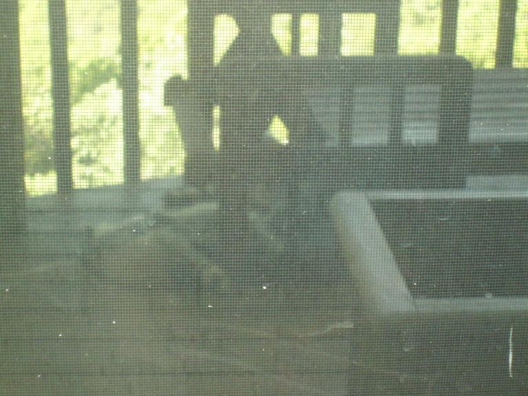 click for larger size