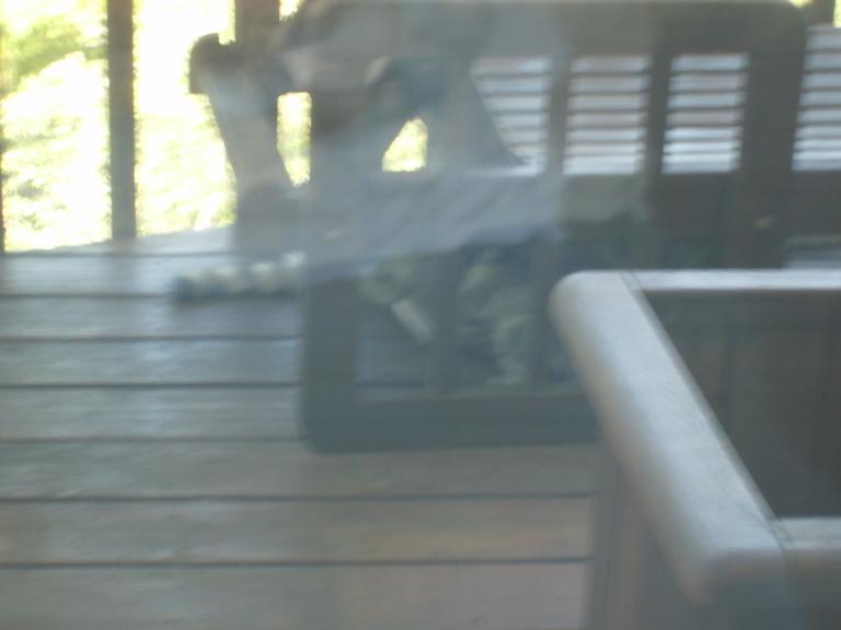 click for larger size