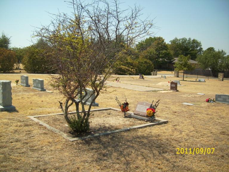 click for larger size