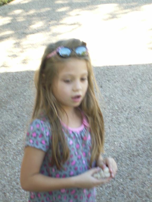 click for larger size