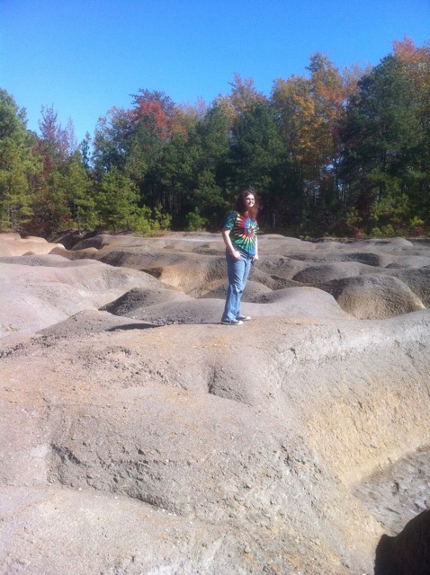 click for larger size