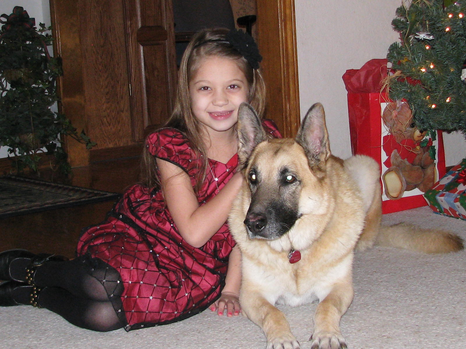 click for larger size