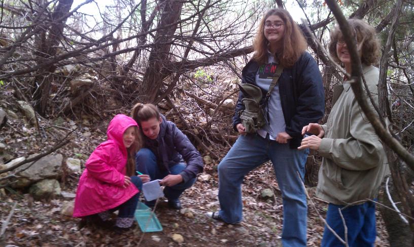 click for larger size