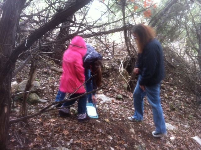 click for larger size