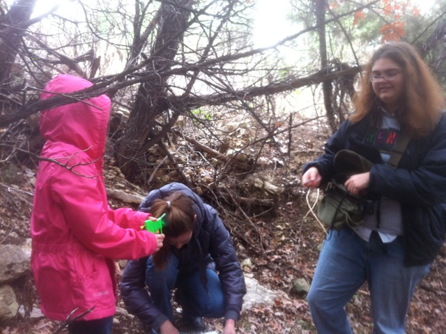 click for larger size