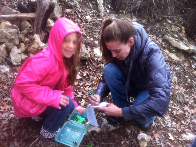 click for larger size